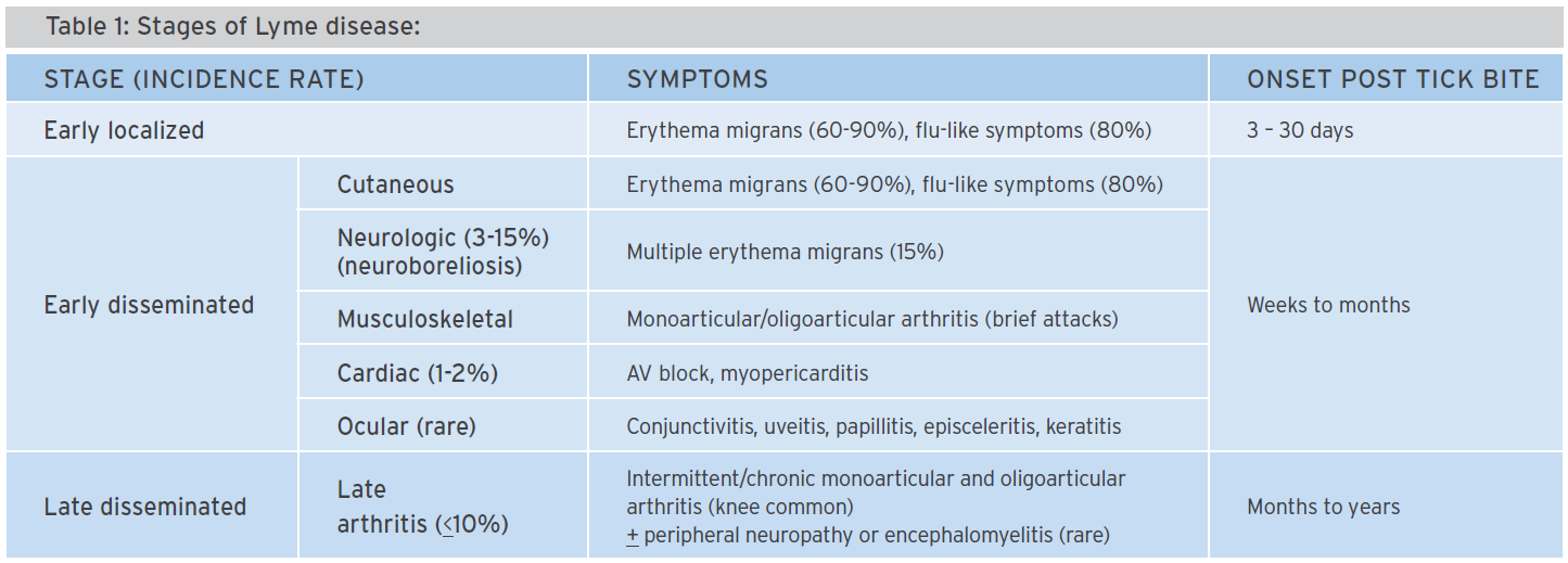 Lyme disease Targeting more than just the bull’seye BC Pharmacy